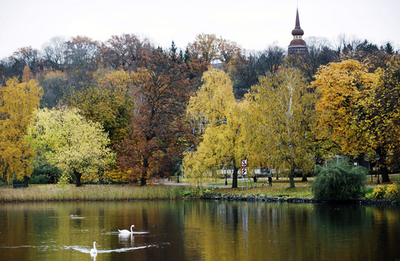 ちょっぴり旅気分、スウェーデンの黄葉