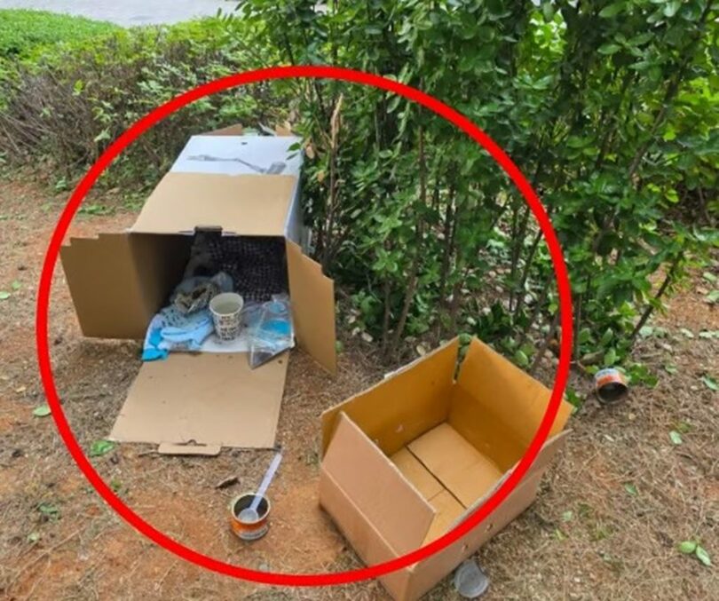 「ボベドリーム」(c)MONEYTODAY