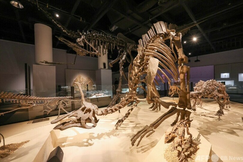 上海自然博物館 118点の恐竜標本を展示