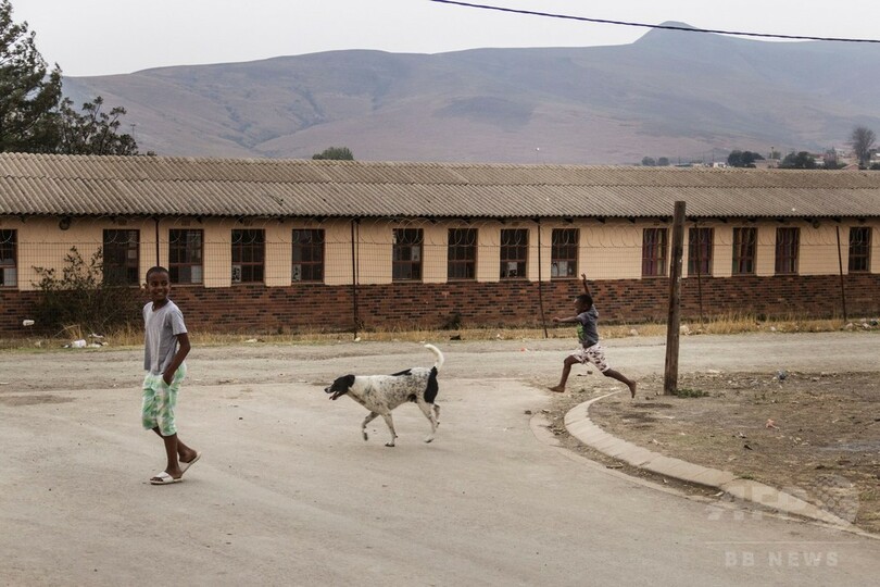 ギャングへの道を断ち若者を守る犬の訓練教室、南ア