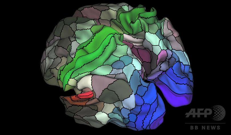脳の「最も詳細な地図」作製、研究