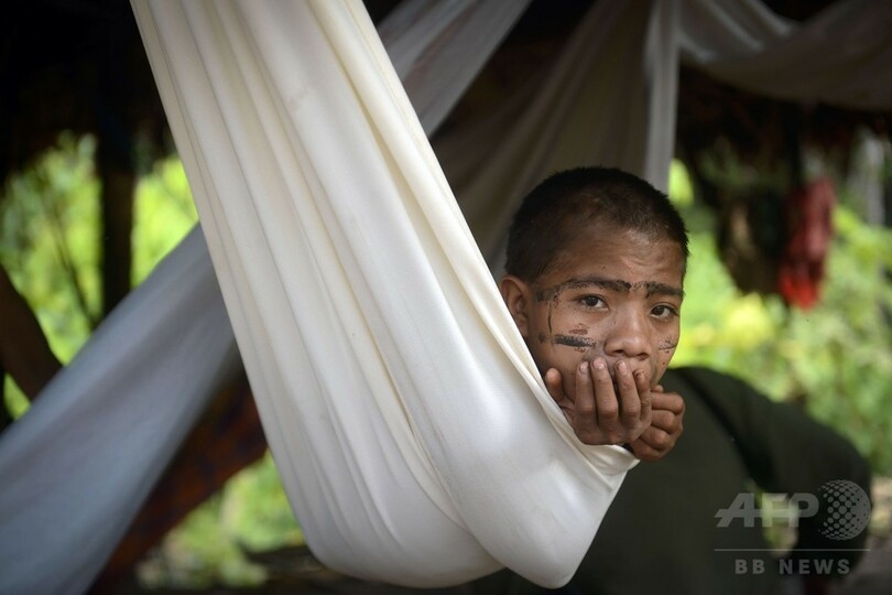 アマゾン先住民、抗生物質耐性持つ遺伝子約30種を確認