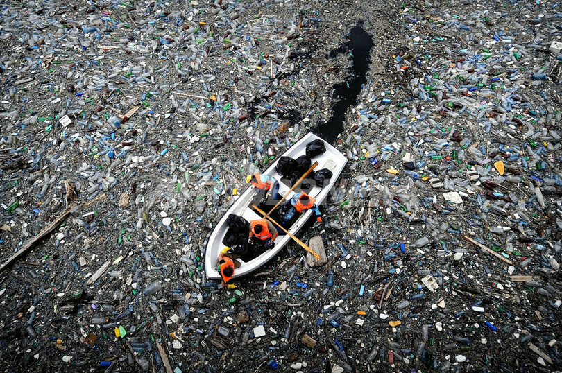 ダム湖を覆うごみ、ボランティアがクリーン大作戦 ブルガリア