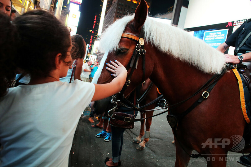 警官の馬に指先かみちぎられた女性 Ny市と警察を提訴 写真1枚 国際ニュース Afpbb News