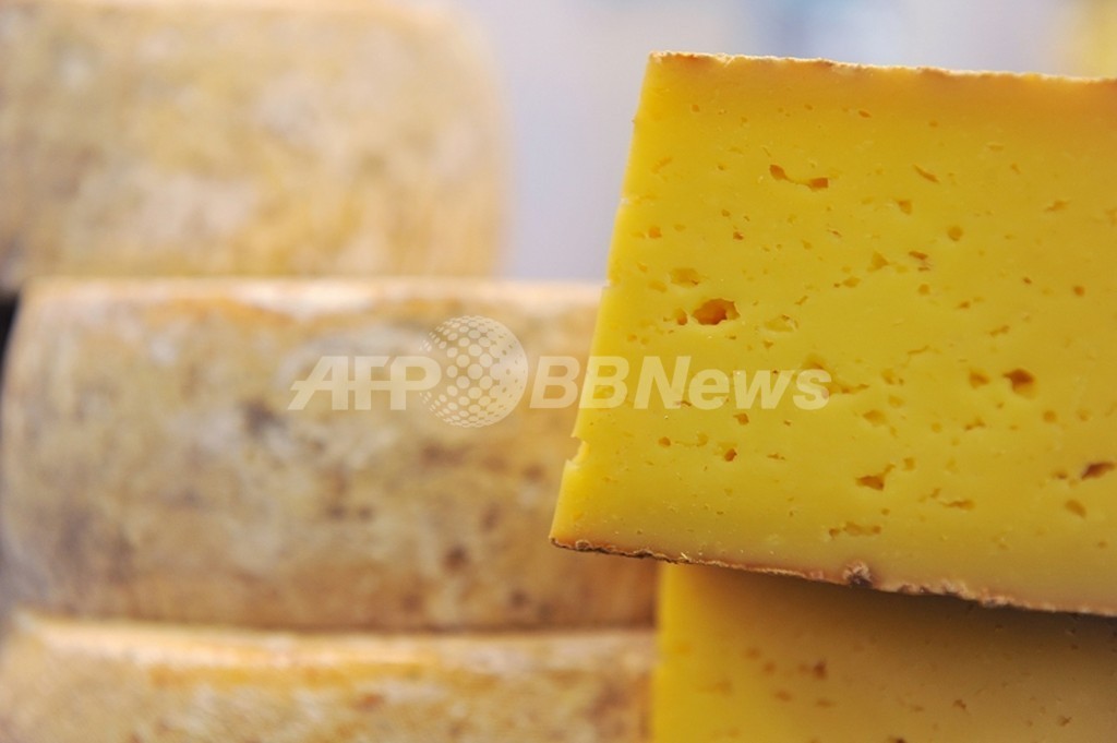 7000年前にチーズ作り、土器に証拠発見 ネイチャー 7000年前にチーズ作り、土器に証拠発見 ネイチャー
