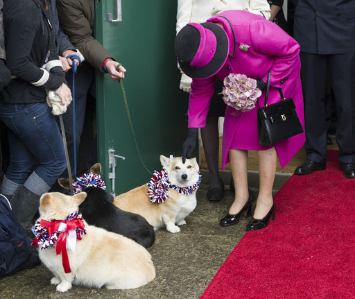 エリザベス英女王に新しい子犬 英紙報道 写真2枚 国際ニュース Afpbb News
