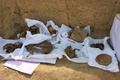 ペルー・リマ郊外のカハマルキリャ遺跡で発掘されたミイラ。サンマルコス大学考古学部提供（撮影日不明）。(c)AFP PHOTO / ARCHAEOLOGY DEPARTMENT OF THE SAN MARCOS UNIVERSITY