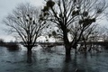 ウクライナ・ディミディウで1年前の洪水で湖のようになった沼地（2023年2月28日撮影）。(c)YASUYOSHI CHIBA / AFP