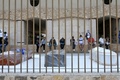 親族の埋葬をひつぎの近くで待つ遺族ら（2020年4月6日撮影、資料写真）。(c)Jose Sanchez / AFP