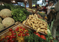 トマトやジャガイモなどの野菜（2017年2月27日撮影、資料写真）。(c)Jacques DEMARTHON / AFP