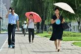 北朝鮮指導部、夏バテ対策に犬肉スープ「補身湯」推奨