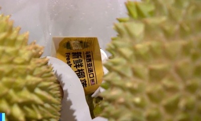 マレーシアの新鮮なドリアン 36時間以内に中国市場へ空運直送