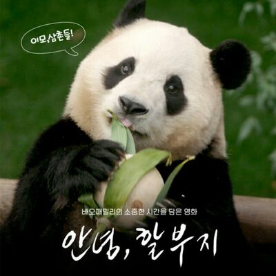 韓国生まれのパンダ「フーバオ」、人気は依然高く…未公開映像を映画化