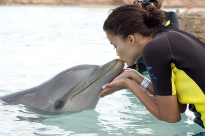 ミス・ユニバース出場者のキスにイルカもご満悦