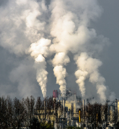 海洋微生物の窒素固定、地球温暖化で急上昇 研究