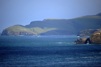 豪男性、NZ沖でクルーズ船から飛び降り行方不明に 