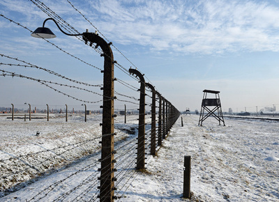 アウシュビッツ生存者が語る 死の収容所 解放から70年 写真8枚 国際ニュース Afpbb News
