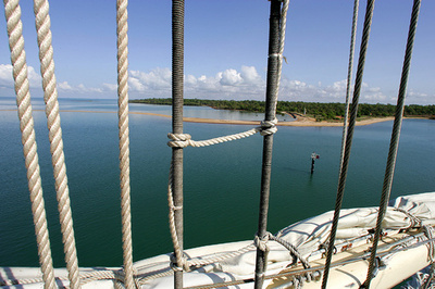 英男性、ウミヘビにかまれ死亡 オーストラリアで初か