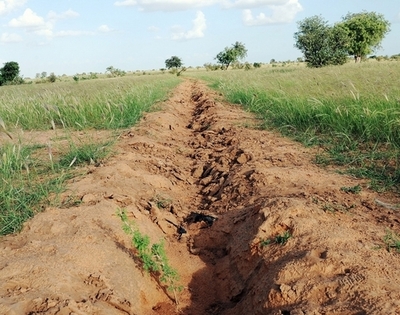 アフリカの砂漠化を防ぐ「緑の壁」プロジェクト、効果が表れるのは数百年後？