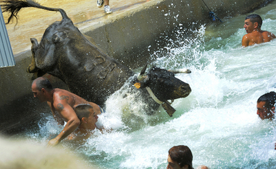 牛を追って海にジャンプ！スペイン港町の伝統行事