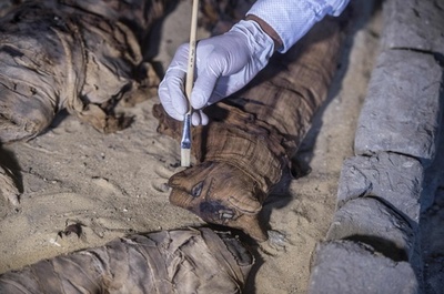 猫のミイラや銅像など発見、エジプト古代都市サッカラの遺跡