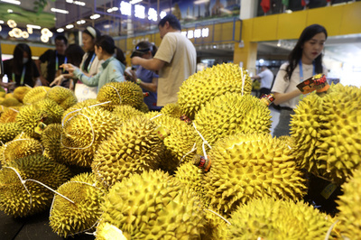 恩恵の象徴はドリアン 中国と東南アジアの物流革命　