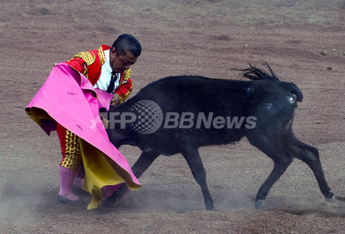 低身長の闘牛士たち 華麗な身のこなしを披露 メキシコ 写真18枚 ファッション ニュースならmode Press Powered By Afpbb News