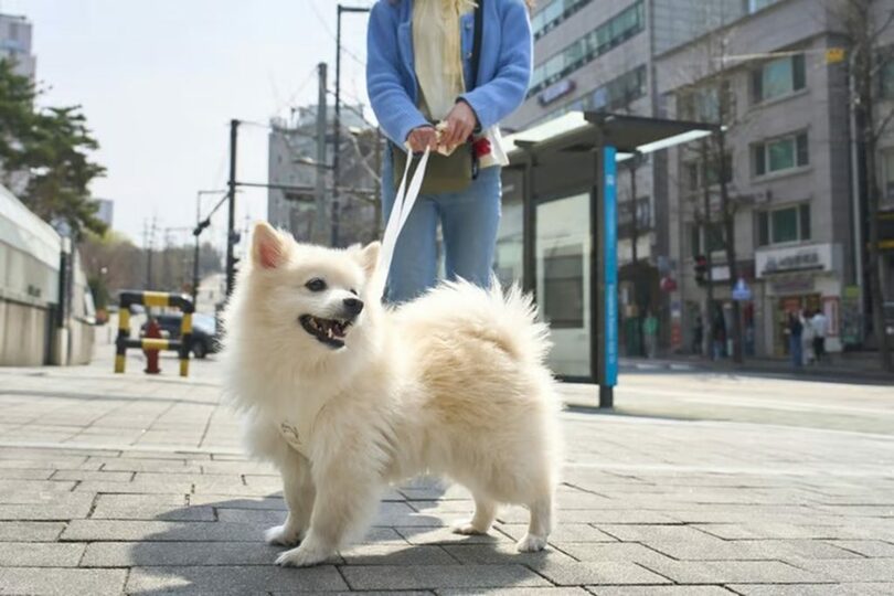 写真は記事の内容とは関係ありません＝gettyimagesBank(c)MONEYTODAY