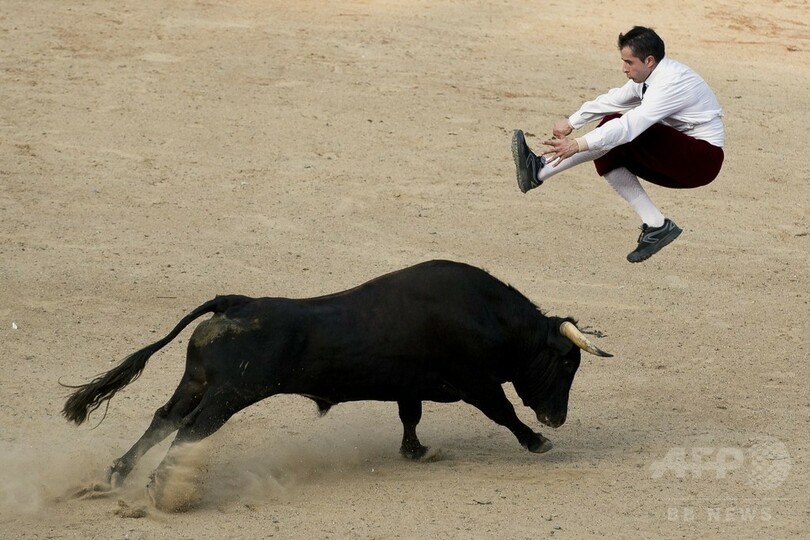 闘牛士たちの華麗な「かわし技」、コロンビア