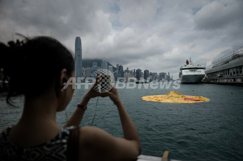 観光客がっかり、ビクトリア湾の巨大アヒルが無残な姿に