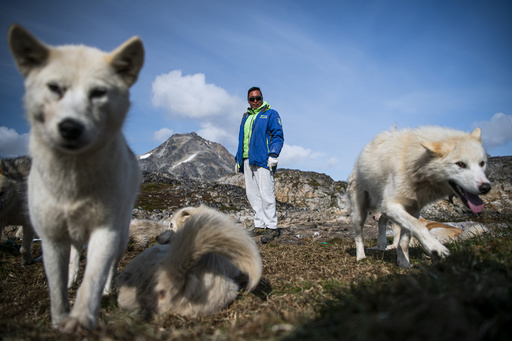 犬ぞり猟が消える 気候変動で伝統にも危機 グリーンランド 写真枚 国際ニュース Afpbb News