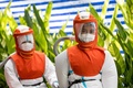 タイの首都バンコクの市場前で、新型コロナウイルス検査を行う医療従事者（2021年9月4日撮影）。(c)Jack TAYLOR / AFP