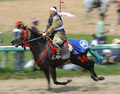 福島県の伝統祭り「相馬野馬追」は29日に2日目を迎え、東日本大震災の影響で前年は見送られていた主行事の甲冑（かっちゅう）競馬と神旗争奪戦が南相馬市で行われた。1000年にわたり続く祭りにはこの日、数万人が訪れ、約400騎が繰り広げる勇壮な伝統行事を楽しんだ。

写真は甲冑競馬に参加する騎馬武者（2012年7月29日撮影）。(c)AFP/Toru YAMANAKA
