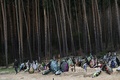 ロシアのウクライナ侵攻以後、新しい墓が多数作られたウクライナ・イルピンの墓地（2022年4月19日撮影）。(c)Sergei SUPINSKY / AFP