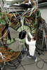 スイス・ジュネーブ（Geneva）にある欧州合同素粒子原子核研究機構（European Organisation for Nuclear Research、CERN）の粒子加速器「大型ハドロン衝突型加速器（LHC）」（2007年3月22日撮影）。(c)AFP/FABRICE COFFRINI