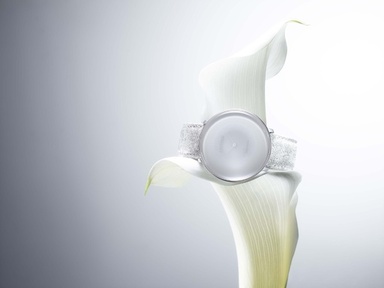 img_0a062540c1f0c53dfcf50fdaa2