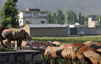 ビンラディン容疑者殺害の瞬間、12歳の娘が目撃か