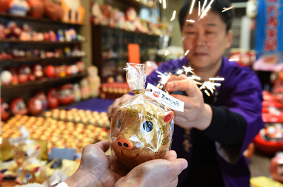 金メダルに向かって「猪突猛進」 干支（えと）だるま制作がピーク 神奈川・平塚