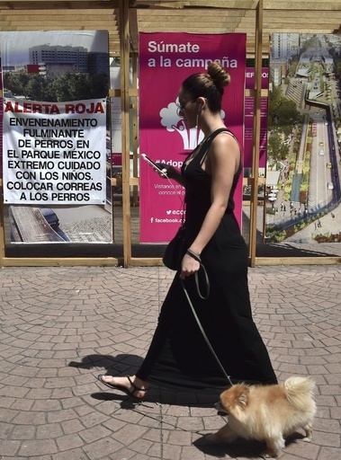 メキシコ首都に「連続殺犬鬼」？公園でペット犬の急死相次ぐ