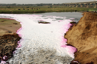 降水不足、やむをえず汚染水を農業利用 インド
