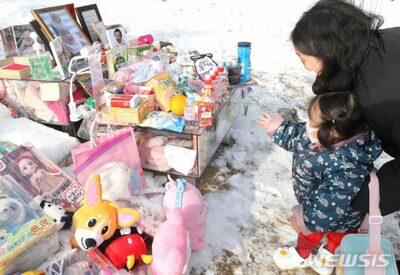 「ジョンインちゃん事件」影響、韓国の養子縁組が過去最低