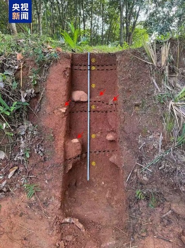 中国海南島　1万4000年前の旧石器時代遺跡30カ所を発見