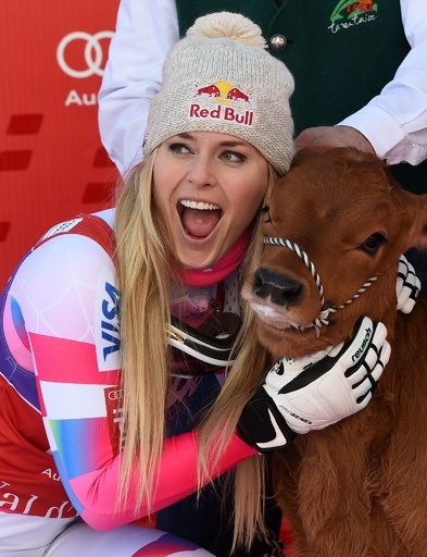 ウッズの恋人ボン、アルペンスキーW杯の表彰式で子牛と交流