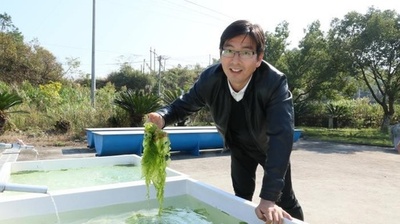 ブルーカーボン競売、地球延命の鍵? 中国浙江省
