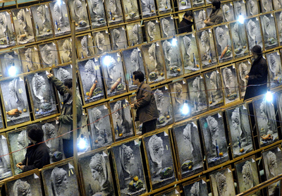 韓国の未来の巨匠ら、名門美術校の入試に挑む