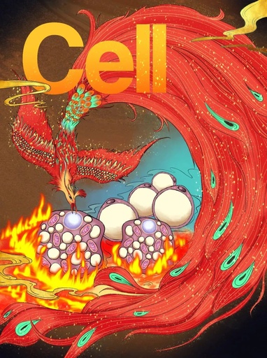 中国科学者がダイエット新方法を発見 「セル」の表紙飾る 