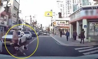 韓国・信号待ちの車の間からペット連れの女性飛び出し…ぶつかった車に保険会社「あなたに20～30％過失」