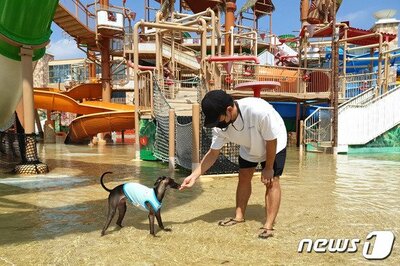 ロッテウォーターパークが「ペット族」の空間 – KOREA WAVE