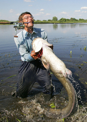 重量28キロの大物ナマズ