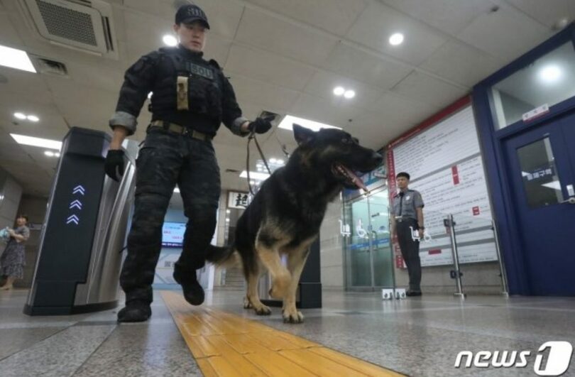 16日午後、爆発物テロが予告された大邱市庁内部を捜索する警察特攻隊(c)news1